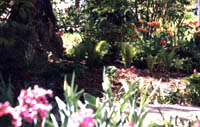 Printemps