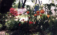 Printemps