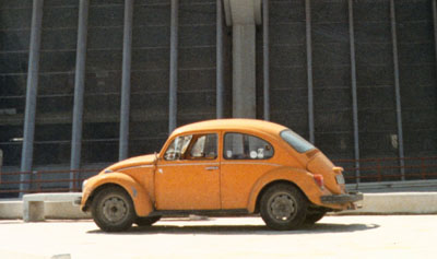 My Beetle