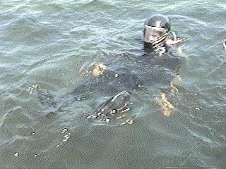 Adrift!