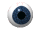 An eye image