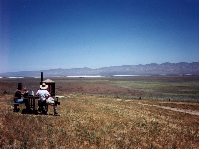 The plains