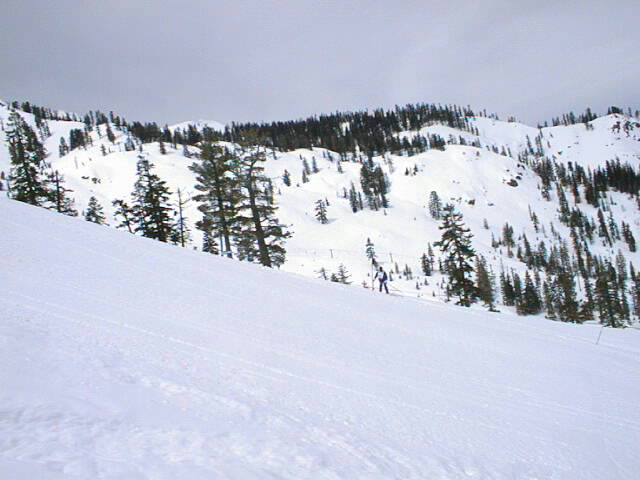Scene2