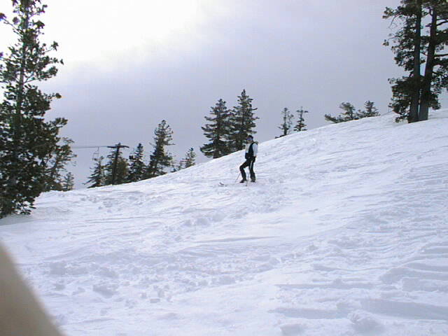 Skiing