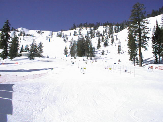 course