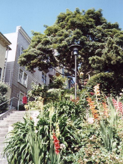 Filbert Steps