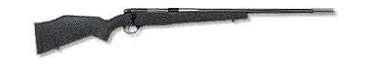 Animaci&oacute;n de Rifles