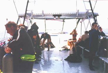 Dive Akumal Pic #2