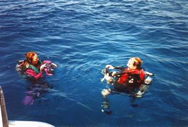 Dive Akumal Pic #3