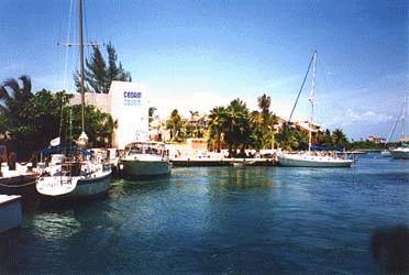 Dive Akumal Pic #4