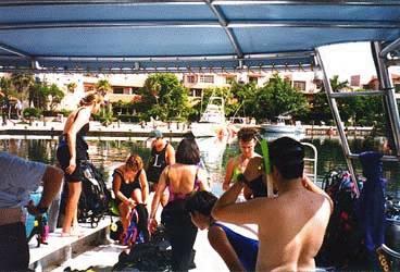 Dive Akumal Pic #5