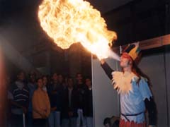 fogo.jpg (13233 bytes)