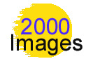 Click here to see our most recent photos