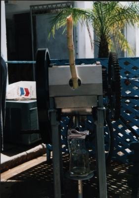 Guarapo Press ( Sugar Cane Drink )