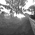 Waitakere sunset (7532 bytes)