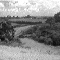 Waitakere countryside (6777 bytes)