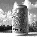Lion Red, Maate! (7481 bytes)