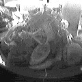 Cezzane's cajun chicken salad (6554 bytes)