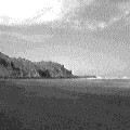 Muriwai - look no people! (5417 bytes)