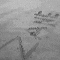 real sandy beaches (5695 bytes)