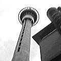 Auckland Sky Tower (5798 bytes)