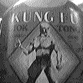 Kung Fu "health" tonic (8111 bytes)