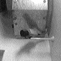 Big brother cameras.  We love the company, the company is our friend... (6824 bytes)