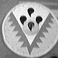 shield device (7270 bytes)