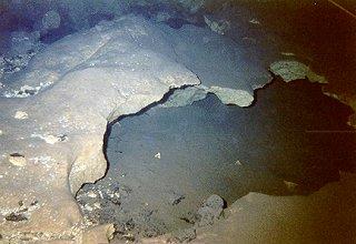 Water Hole