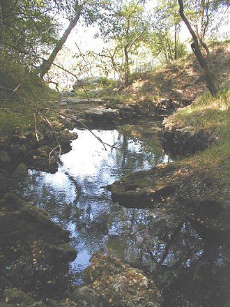 Suwannee Blue