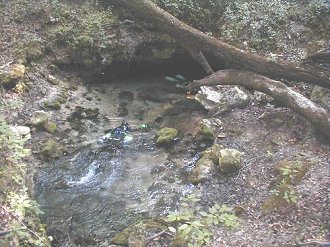Suwannee Blue