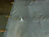 fabric2.jpg (55949 bytes)