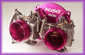 buckshot04.jpg (12504 bytes)