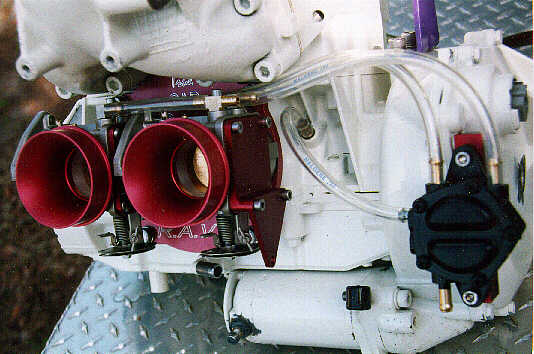 dualassy redtops.jpg (35759 bytes)