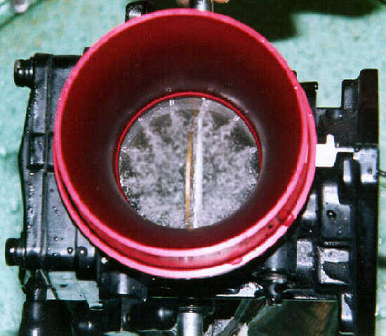 spray2 red tops.jpg (42619 bytes)