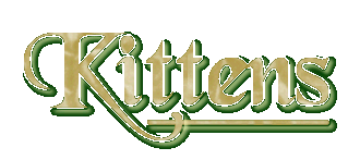 Kittens