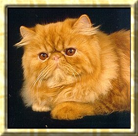 Oliver
