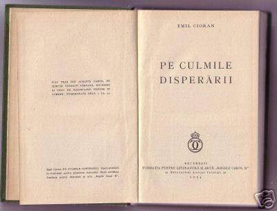 Liiceanu si cioran essay
