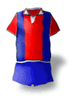 Team Logo