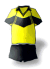 Team Logo