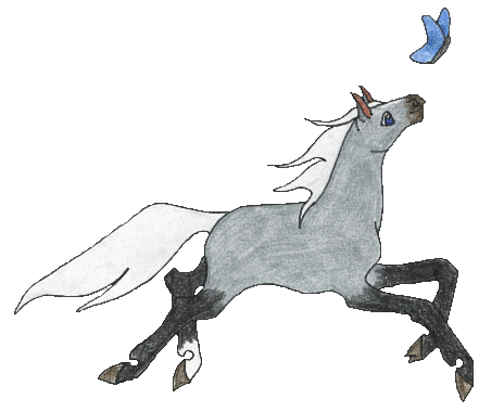 Rindel'Myran