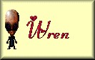 WrenNightWind