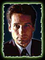 Mulder