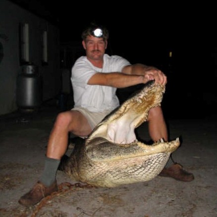 Gator