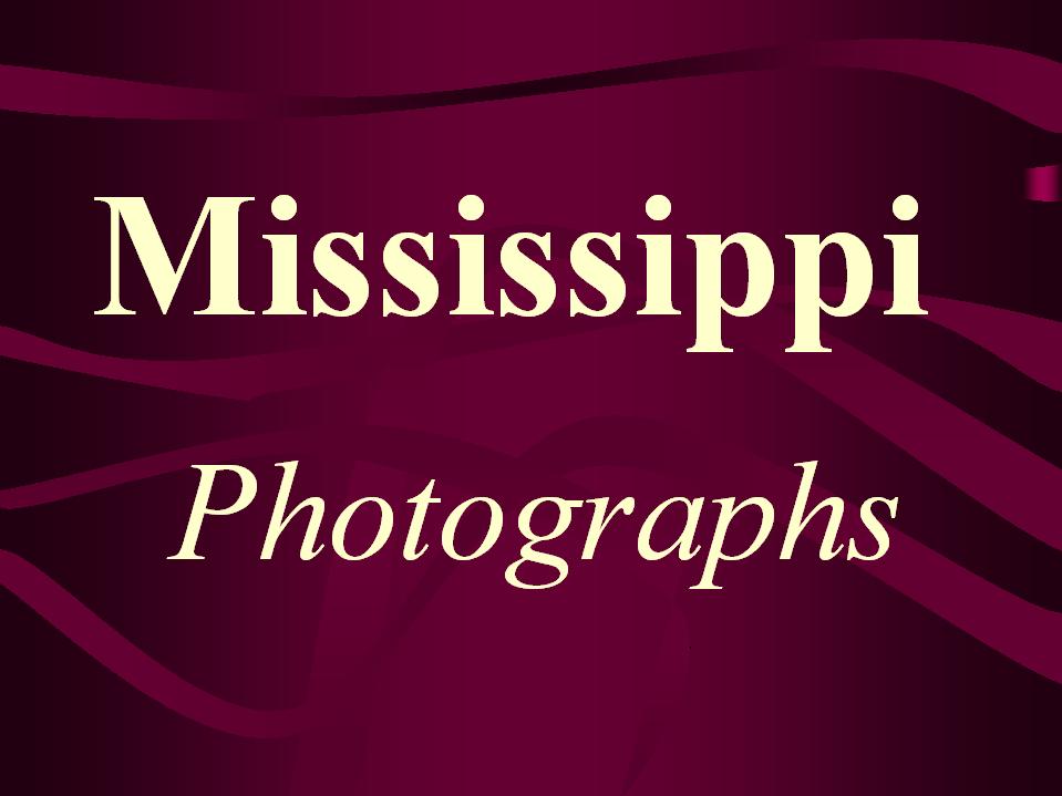 Mississippi Scenes