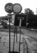 Foto (5 KByte)