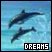 Dreams
