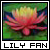 Water Lilies