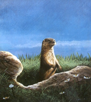 river otter