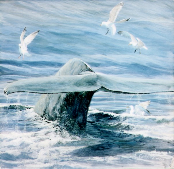 whale